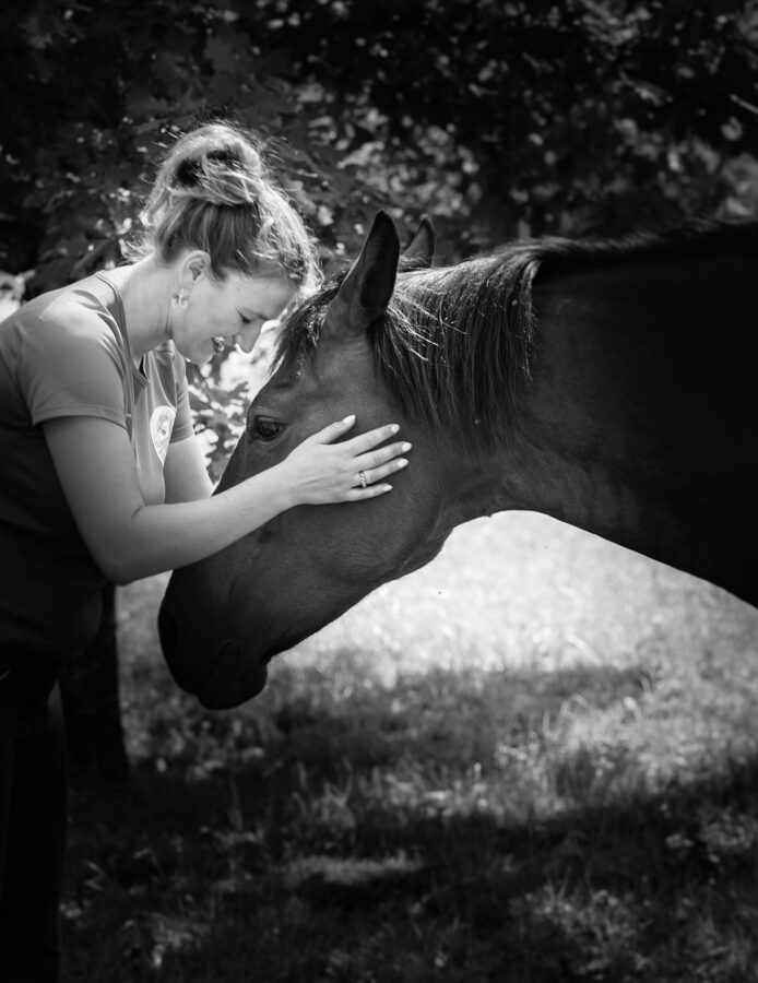 Sadarbība ar zirgu (zirgu psiholoģija)